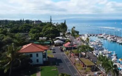 Hawaii’s green agenda — and questionable decisions — primed the state for one of the deadliest wildfires in history