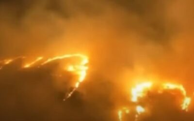 Hawaiian grid operator focused on promoting green energy instead of wildfire preparedness