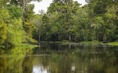 EPA revises expansive water regulation to comply with SCOTUS but doesn’t allow public comment