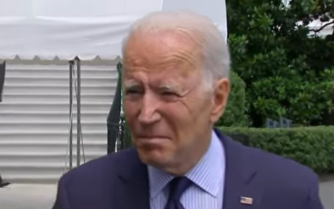 Biden’s lame duck gravy train for ‘environmental justice’ activists pours cash into anti-police, pro-DEI groups