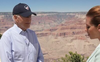 Biden admits he ‘wanted to stop all drilling,’ but was forced to follow the law