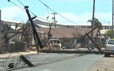 Utility company whose equipment may have sparked Maui fire possibly removed potential evidence: Report