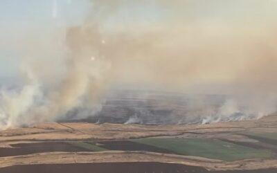 Climate activists warm up as wildfires burn in Hawaii