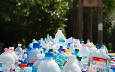 Most Americans think recycling can help save the planet — most experts think that’s a total myth