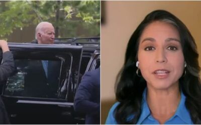 Tulsi Gabbard hammers Biden over pathetic response to Maui wildfires: ‘Huge deficit in trust’