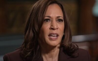 Kamala Harris MOCKS patriotic Americans with a nasty label!