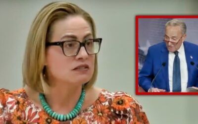 Fuming Sen Sinema nails Schumer with ‘the truth’ after vowing $130M to NY for migrant crisis