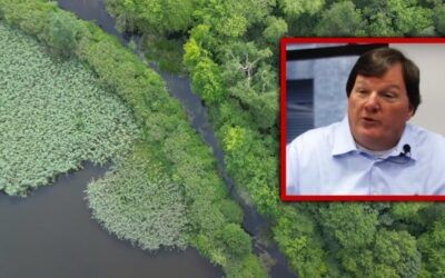 Fmr NYPD cold case detective says wooded area blocks from Gilgo Beach suspect’s home may contain more bodies