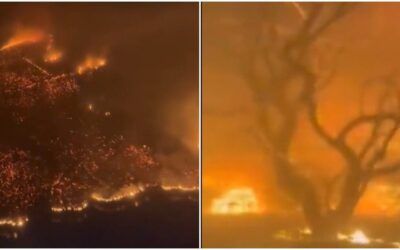 Heartbreaking footage of fires ravaging Hawaii as dozens reported dead, hundreds more missing