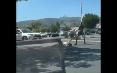 LA purse-snatcher violently drags elderly woman in broad daylight; Good Samaritans pounce