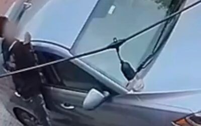 The left blames foreign automakers—rather than criminals—for car theft surge