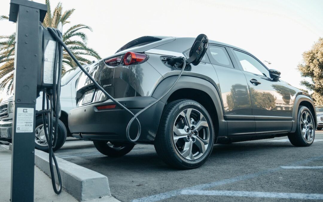 ‘A lot of government coercion’: Study slams ‘forced transition’ to EVs consumers don’t seem to want