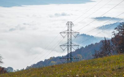 Every problem with the Texas grid is caused by government policy