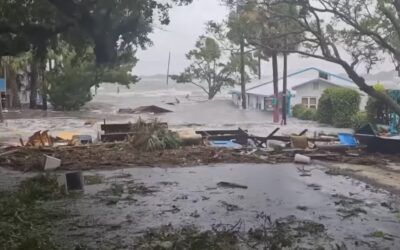 Should we believe the media hype linking Hurricane Idalia to climate change?