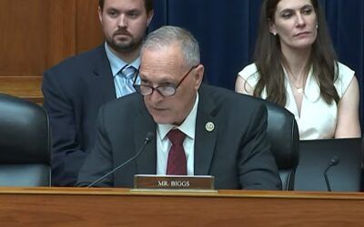 ‘I have a bridge for you’: GOP Rep calls out witness for defending Biden’s $6 billion ‘ransom’ to Iran