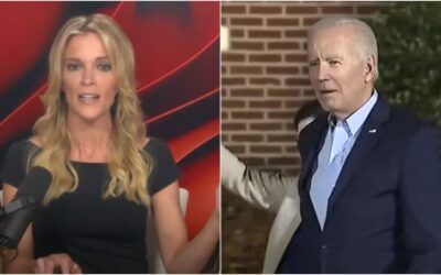 Megyn Kelly: Americans don’t want to vote for ‘near corpse’ Biden