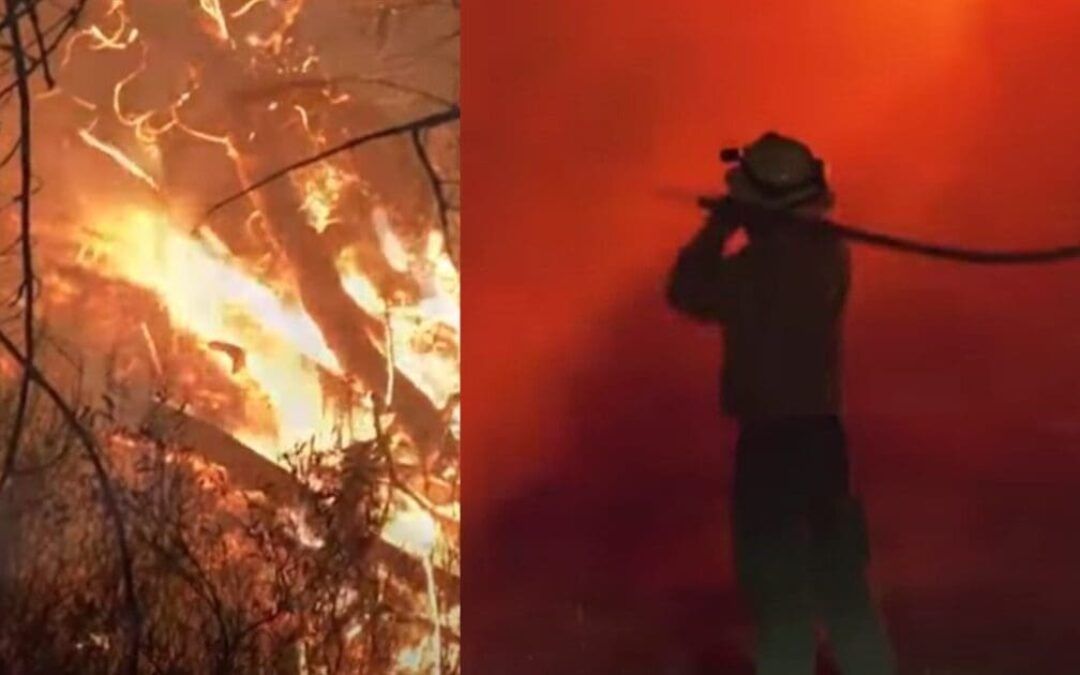 Biden admin cuts huge lame duck check for California utility bankrupted for role in massive wildfires