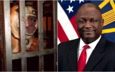 DoD official resurfaces after arrest and accusations of running horrific dog-fighting ring for 20 YEARS