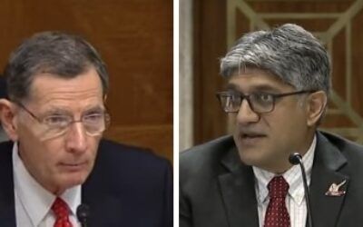 ‘Very bad look’: GOP Senator grills key energy dept loan official about his ties to green energy trade group