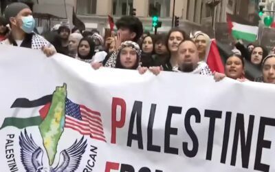 BLM Chicago deletes paraglider tweet, but doubles down on support of Hamas, Palestine