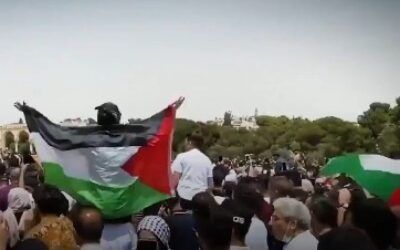 Green groups that have backed Palestine offer justifications, silence after Hamas attacks