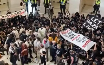 Tearful Tlaib doubles down on hospital lie, as pro-Palestinian protesters swarm Capitol Hill building