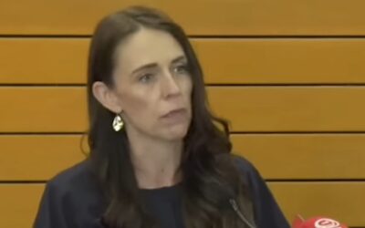 ‘Bloodbath’: New Zealand voters decisively reject Liberal Party