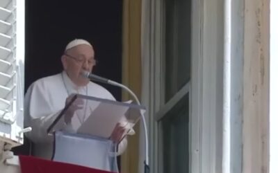 ‘Unacceptable’: Israel denounces Pope’s statement calling for a cease-fire