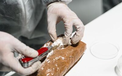 Man walks free under zero-bail law after allegedly transporting 62 pounds of cocaine