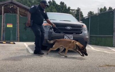 Capitol Police caught targeting a Black man illegally