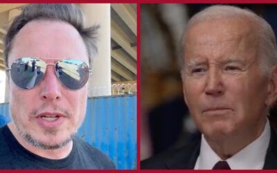 ‘Lyin’ Biden’ takes shot at Elon Musk over acquisition of Twitter: Folks have ‘no notion’ of what is true