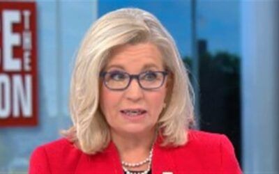 ‘Face the Nation’ drags out Liz Cheney to blame GOP House chaos on Trump