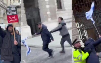 Watch: Militant mob at Palestine London rally spots a person carrying an Israeli flag