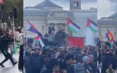 ‘Pride’ flag stomped at pro-Hamas protest in London as intersectionality collides with reality