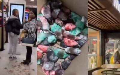 Pro-Hamas activist releases box of live RATS painted in Palestinian flag colors at UK McDonald’s