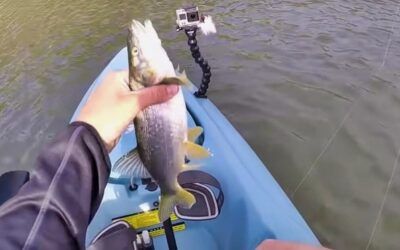 Oregon fisherman reels in MASSIVE reward for dedication to removing unwanted fish species