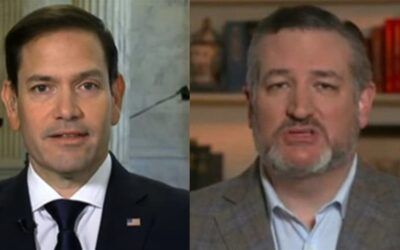 Republican senators call for PayPal to ban Hamas-supporting BLM group