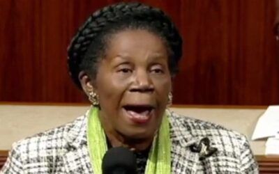Sheila Jackson Lee spews BS to repair damage from foul-mouthed rant