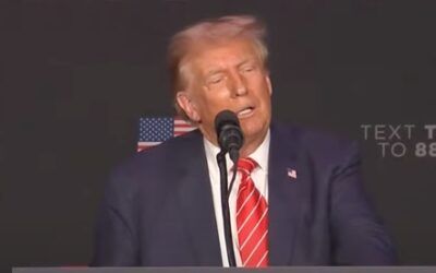Trump saying, ‘you’re a loser’ if you thought he’d get Mexico to pay for wall is certified BS