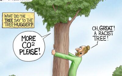 BS daily political cartoons: What did the tree-hugger say to the tree-hugger?