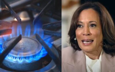 ‘Seems like hypocrisy…’ Eagle-eyed critics roast Kamala Harris for Thanksgiving pic