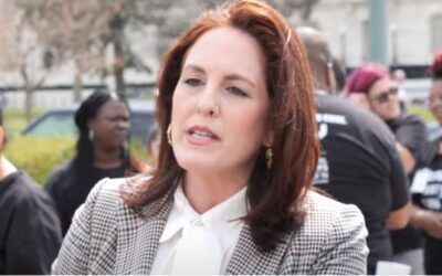 ‘David and Goliath’: Moms for Liberty co-founder lays out post-election battle plan for school boards