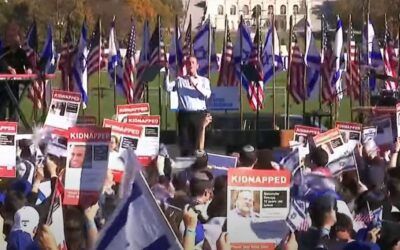 Some of the Best Signs at DC March For Israel