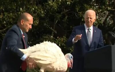 ‘Malpractice’: Dems are freaking out over Biden’s 2024 reelection plan