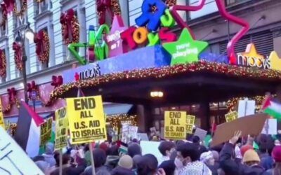 ‘Bombs are dropping, why are you shopping?’ Black Friday traditions interrupted by anti-Israel protests