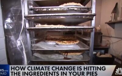 CNBC reportedly dismantles ‘climate change desk’