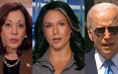 Tulsi Gabbard slams Biden and Harris for snubbing pro-Israel rally