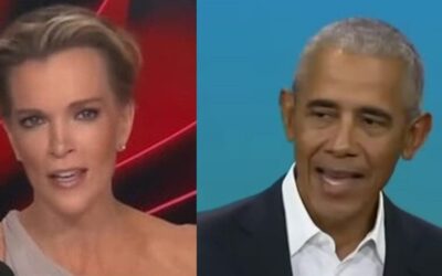‘Especially you, sir’: Megyn Kelly on who’s ‘complicit’ after Obama calls for ceasefire in Gaza