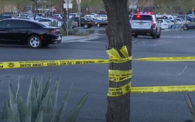 Retired cop detained after ‘isolated incident’ results in death of CIA contractor outside Vegas mall