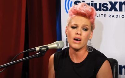 Pink hit with humiliating fact check for pushing patently false Florida book ‘ban’, then runs with it anyway